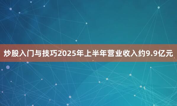 炒股入门与技巧2025年上半年营业收入约9.9亿元