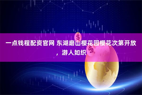 一点钱程配资官网 东湖磨山樱花园樱花次第开放，游人如织