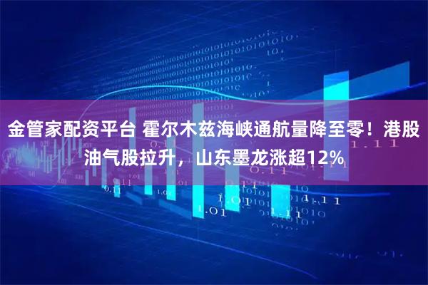 金管家配资平台 霍尔木兹海峡通航量降至零!港股油气股拉升,山东墨龙涨超12%
